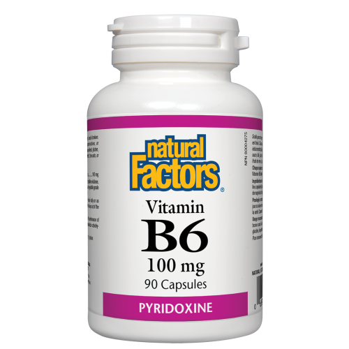 Vitamin B6 100 mg 90 Capsules