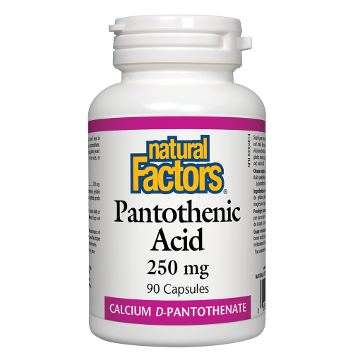 Pantothenic Acid 250 mg 90 Capsules