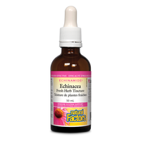 Natural Factors Echinacea Fresh Herb Tincture    50 mL Tincture