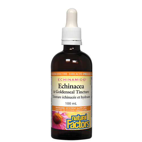 Natural Factors Echinacea & Goldenseal   100 mL Tincture